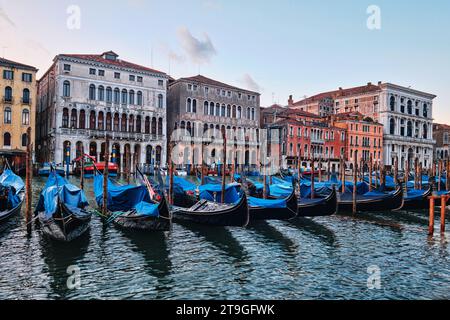 Venezia, Italia - 9 novembre 2023: Gondole blu parcheggiate nel Canal grande Foto Stock