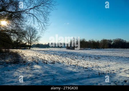 Sonnenuntergang auf einer verschneiten Wiese Nähe Baden-Baden Foto Stock