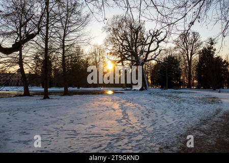 Sonnenuntergang auf einer verschneiten Wiese Nähe Baden-Baden Foto Stock