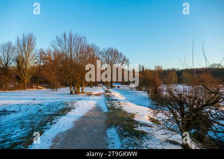 Sonnenuntergang auf einer verschneiten Wiese Nähe Baden-Baden Foto Stock