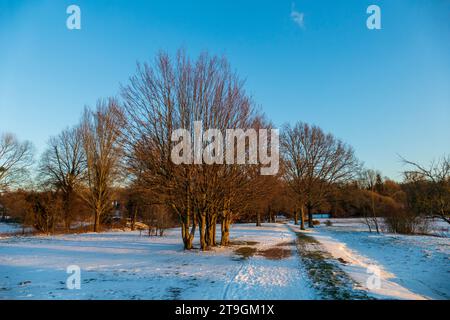 Sonnenuntergang auf einer verschneiten Wiese Nähe Baden-Baden Foto Stock