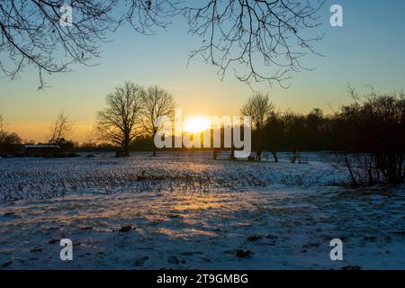 Sonnenuntergang auf einer verschneiten Wiese Nähe Baden-Baden Foto Stock