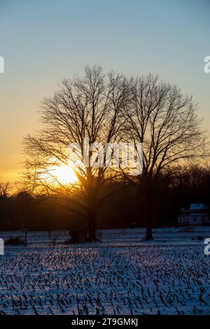 Sonnenuntergang auf einer verschneiten Wiese Nähe Baden-Baden Foto Stock