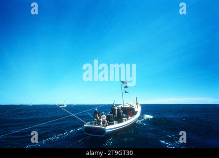 WEDGEPORT, NS - 11 SETTEMBRE: Vista generale del Benny B durante l'International Tuna Cup 1955 l'11 settembre 1955 al largo della costa di Wedgeport, nuova Scozia, Canada. (Foto di Hy Peskin) Foto Stock