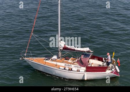 Barca a vela sul Solent nell'Hampshire, Regno Unito Foto Stock