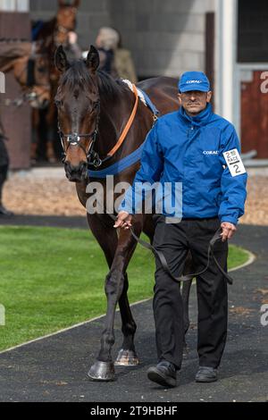 Rectory Oak, vincitore della seconda gara a Wincanton Foto Stock