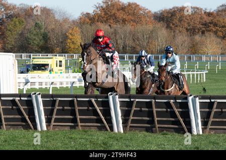 Ascot, Berkshire, Regno Unito. 25 novembre 2023. Horse Farnoge guidato dal fantino Harry Cobden libera un ostacolo prima di vincere la Bet con Ascot Donation Box Scheme, la corsa ostacoli dei novizi all'ippodromo di Ascot durante il November Racing Saturday Meeting. Proprietario JCG Chia & i Warwick. Allenatore Paul Nicholls, Ditcheat. Credito: Maureen McLean/Alamy Live News Foto Stock