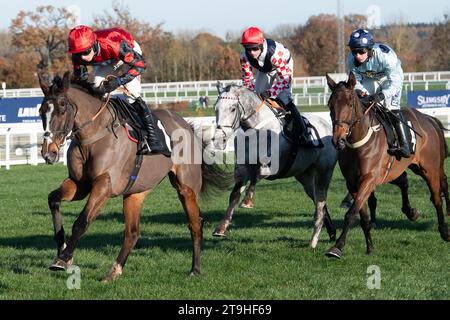 Ascot, Berkshire, Regno Unito. 25 novembre 2023. Horse Farnoge guidato dal fantino Harry Cobden libera un ostacolo prima di vincere la Bet con Ascot Donation Box Scheme, la corsa ostacoli dei novizi all'ippodromo di Ascot durante il November Racing Saturday Meeting. Proprietario JCG Chia & i Warwick. Allenatore Paul Nicholls, Ditcheat. Credito: Maureen McLean/Alamy Live News Foto Stock