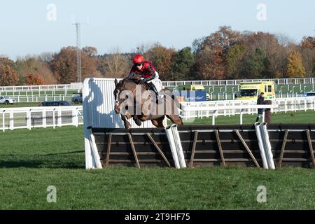 Ascot, Berkshire, Regno Unito. 25 novembre 2023. Horse Farnoge guidato dal fantino Harry Cobden libera l'ultimo prima di vincere la Bet con Ascot Donation Box Scheme, la corsa ostacoli dei novizi all'ippodromo di Ascot durante il November Racing Saturday Meeting. Proprietario JCG Chia & i Warwick. Allenatore Paul Nicholls, Ditcheat. Credito: Maureen McLean/Alamy Live News Foto Stock