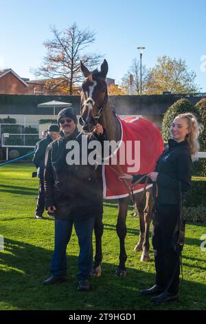 Ascot, Berkshire, Regno Unito. 25 novembre 2023. Horse Farnoge guidato dal fantino Harry Cobden (sete rosse) vince la gara Bet with Ascot Donation Box Scheme Novices’ hurdle Race presso l'ippodromo di Ascot al November Racing Saturday Meeting. Proprietario JCG Chia & i Warwick. Allenatore Paul Nicholls, Ditcheat. Breeder Wood Farm Stud Sponsor Chuanglee Cash & Carry Ltd Credito: Maureen McLean/Alamy Live News Foto Stock