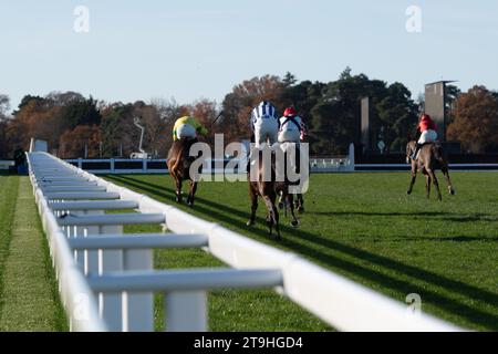 Ascot, Berkshire, Regno Unito. 25 novembre 2023. Horse Farnoge guidato dal fantino Harry Cobden (sete rosse) vince la gara Bet with Ascot Donation Box Scheme Novices’ hurdle Race presso l'ippodromo di Ascot al November Racing Saturday Meeting. Proprietario JCG Chia & i Warwick. Allenatore Paul Nicholls, Ditcheat. Breeder Wood Farm Stud Sponsor Chuanglee Cash & Carry Ltd Credito: Maureen McLean/Alamy Live News Foto Stock