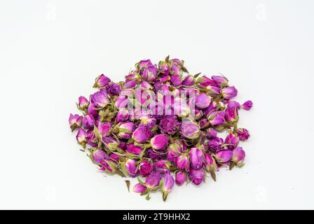 Rosebuds con sfondo bianco. Foto Stock