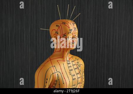 Agopuntura - medicina alternativa. Modello umano con aghi in testa su sfondo nero Foto Stock