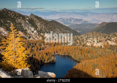 WA23776-00...WASHINGTON - affacciato sul lago Cooney circondato da variopinti larici nella foresta nazionale di Okanogan. Foto Stock