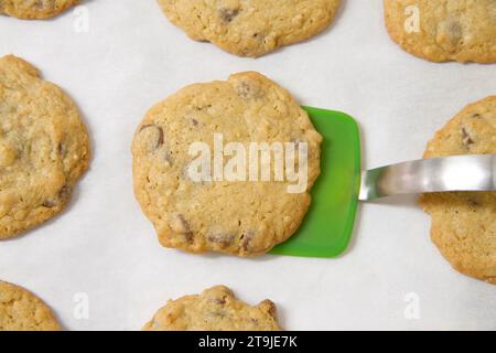 File di biscotti appena sfornati con scaglie di cioccolato e farinata d'avena su carta pergamena, spatola verde in silicone che solleva un biscotto dalla teglia da forno. Foto Stock