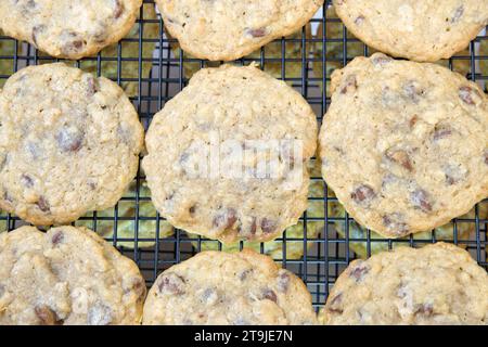 Biscotti al cioccolato con farina d'avena allineati su rack refrigeranti impilati uno sull'altro. Vista ravvicinata dall'alto. Foto Stock