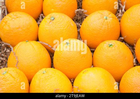 Primo piano di arance ombelicali intere fresche biologiche in una cassa da esposizione in vendita al mercato. Foto Stock