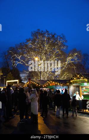 Albero decorato con belle luci natalizie al vivace mercatino di Natale (Wiener Christkindlmarkt) in inverno di notte, Rathause, Vienna, Austria Foto Stock