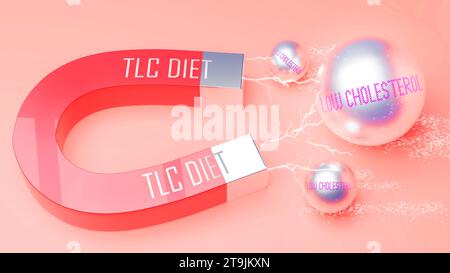 La dieta TLC attira un basso livello di colesterolo. Metafora magnetica in cui la dieta TLC attrae più parti di colesterolo basso. Relazione causa-effetto tra T Foto Stock