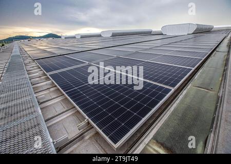 (231126) -- CHONBURI, 26 novembre 2023 (Xinhua) -- questa foto scattata il 7 novembre 2023 mostra il tetto solare in una fabbrica di pneumatici nella provincia di Chonburi, Thailandia. La società cinese Prinx Chengshan Tire e WHA Utilities and Power (WHAUP) della Thailandia hanno costruito congiuntamente un tetto solare per la fabbrica di pneumatici nella provincia di Chonburi. La prima fase del progetto è iniziata alla fine di novembre 2022, con una capacità installata di 19,44 MW. La seconda fase del progetto dovrebbe essere completata nel 2024, con la capacità totale installata di 24,24 MW, in grado di ridurre 30.000 tonnellate Foto Stock