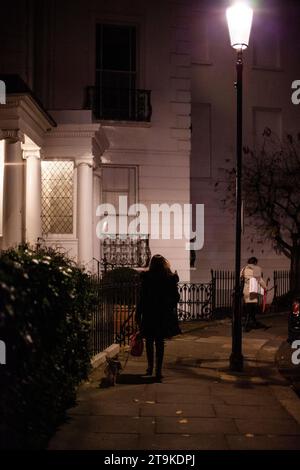 Vista posteriore della signora che accompagna il suo cane da sola lungo una strada tranquilla nel centro di Londra durante l'inverno 2013 Foto Stock