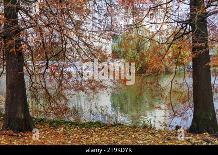 Parco Litzensee, autunno, Charlottenburg, Berlino Foto Stock
