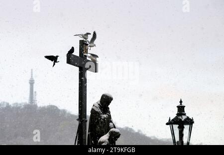 Praga, Repubblica Ceca. 26 novembre 2023. Gabbiani su una scultura ricoperta di neve sul Ponte Carlo a Praga, Repubblica Ceca, nella foto del 26 novembre 2023. In primo piano è visibile la statua di Pietà (Lamentazione di Cristo), sullo sfondo sulla sinistra della Torre Petrin. Crediti: Michaela Rihova/CTK Photo/Alamy Live News Foto Stock