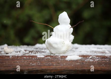 Amburgo, Germania. 26 novembre 2023. Un pupazzo di neve può essere visto su una panchina in un parco. C'era una leggera nevicata nella città anseatica di oggi. Credito: Bodo Marks/dpa/Alamy Live News Foto Stock