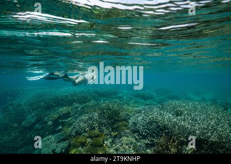 Nuota con la bassa marea sulla barriera corallina della laguna di Mayotte nell'Oceano Indiano Foto Stock