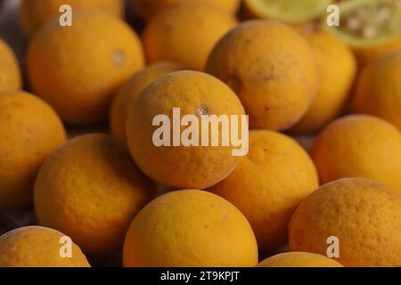 Poncirus trifoliata - arancio trifogliato Foto Stock