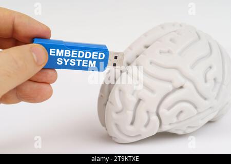Un uomo inserisce una chiavetta nel suo cervello con l'iscrizione - sistema incorporato. Concetto di scienza e tecnologia. Foto Stock