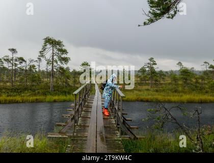tradizionale paesaggio boschivo con alberi umidi, erba e muschio di palude sotto la pioggia, ponte di legno sopra il fosso boschivo, donna in impermeabile blu su un piede di legno Foto Stock