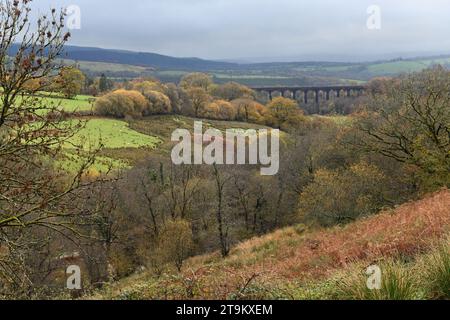 Guardando la valle vicino a Cynghordy, si arriva al viadotto Cynghordy a media distanza - una costruzione incredibile con molti archi - nel Carmarthenshire Foto Stock