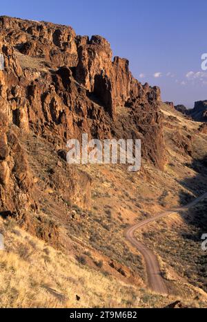 Succor Creek Canyon, Succor Creek state Park, Oregon Foto Stock