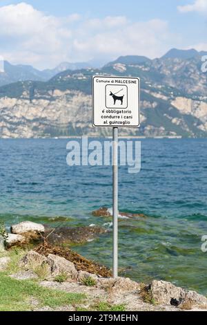 Cartello sulla riva del lago Grada vicino a Malcesine in Italia. Traduzione: I cani devono essere tenuti in testa Foto Stock