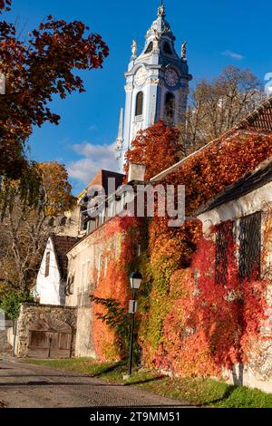 La vite colorata lascia Dürnstein in un giorno d'autunno Foto Stock