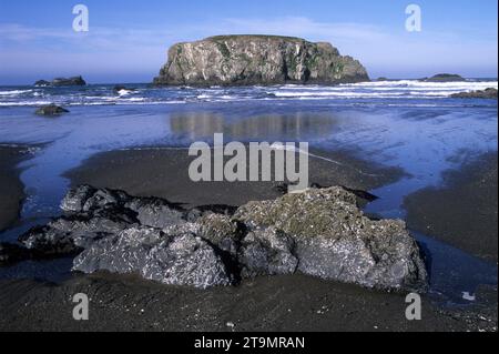 Table Rock, Bandon State Park, Oregon Foto Stock