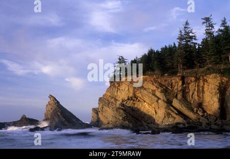 Simpson Beach Cliffs, Shore Acres State Park, Oregon Foto Stock