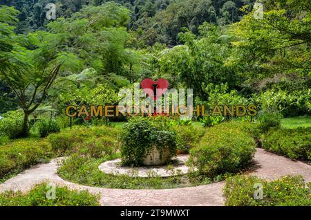 Amo il cartello di Cameron Highlands, Malesia Foto Stock