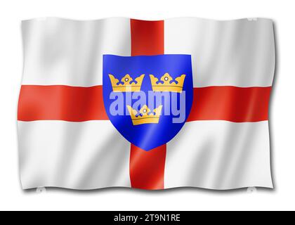East Anglia Region flag, Regno Unito Waving banner collection. Illustrazione 3D Foto Stock