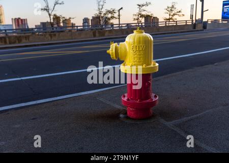 Un idrante dipinto di giallo e rosso si trova ai margini di una strada elevata a Detroit, Michigan, Stati Uniti. Alberi dai colori autunnali e i grattacieli del centro si stagliano contro il cielo serale sullo sfondo. Foto Stock
