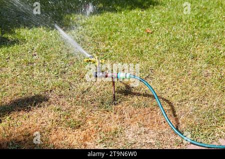 Un irrigatore rotante da giardino innalza l'erba. Acqua in movimento. Irrigazione sprinkler nel parco pubblico Foto Stock