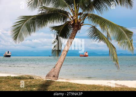 Vista sulla spiaggia tropicale con palme da cocco Foto Stock
