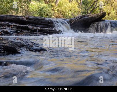 Vista ravvicinata e dall'angolo basso di una piccola cascata che si tuffa su massi simili a placche a Big o Vickery Creek a Roswell, Georgia. Gli alberi decidui sono in Th Foto Stock