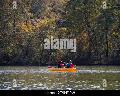 Un uomo anziano e una donna anziana in kayak in un giallo brillante con pagaie rosse in autunno. La coppia viene fotografata sul fiume Chattahoochee in Una Foto Stock