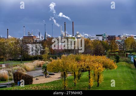 Sullo sfondo di Chempark Leverkusen, Bayer Leverkusen, parco chimico, impianto chimico, Neulandpark, nel nord della città, Leverkusen, NRW, Germania, Foto Stock