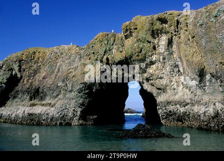 Arch Rock, Pistol River State Park, Oregon Foto Stock