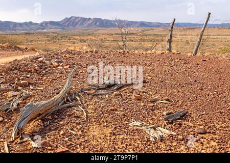 Recinzione di confine, Arkaroola Wilderness Sanctuary Foto Stock