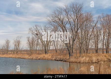 Mississippi River Bayou Habitat all'inizio della primavera vicino a Savanna, Illinois Foto Stock