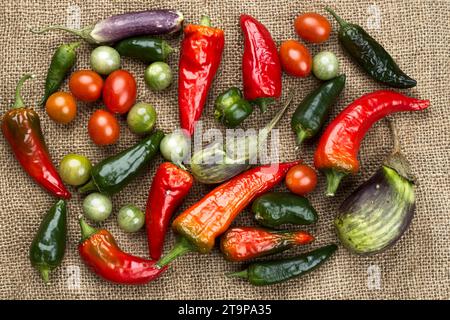 Una foto di verdure assortite con melanzane, peperoni e pomodori ciliegini su un burlap. Foto Stock